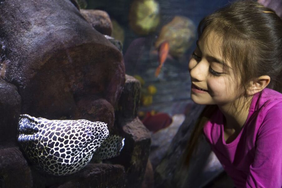 Sea Life Speyer Ticket - Getting to Im Hafenbecken 5