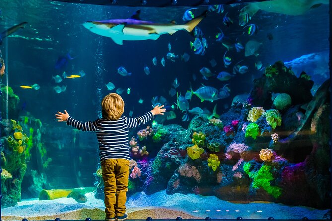 SEA LIFE Timmendorfer Strand Admission Ticket - What you see along the 11-world route