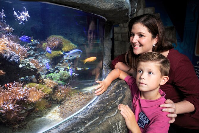 SEA LIFE Timmendorfer Strand Admission Ticket - How long you will actually need