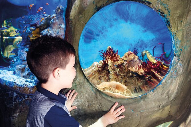 SEA LIFE Timmendorfer Strand Admission Ticket - Price, timing, and entry details
