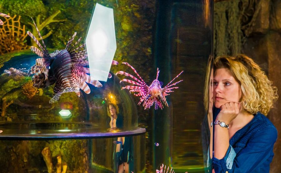 SEA LIFE Timmendorfer Strand Ticket - Booking, timing, and access details