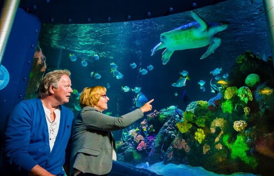 SEA LIFE Timmendorfer Strand Ticket - The rainforest brings snakes and plants into the route