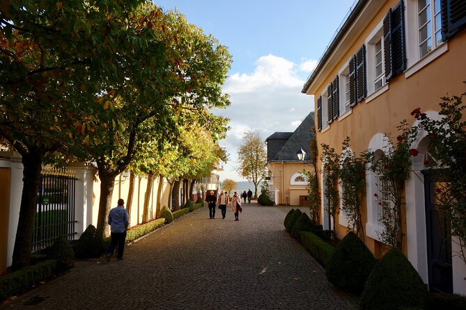 Small Group Rheingau Vineyards Tour with Castles and Abbeys - Why the Rheingau makes a good wine day from Mainz