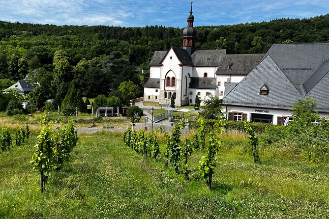 Small Group Rheingau Vineyards Tour with Castles and Abbeys - The family estate tasting gives the day a personal finish