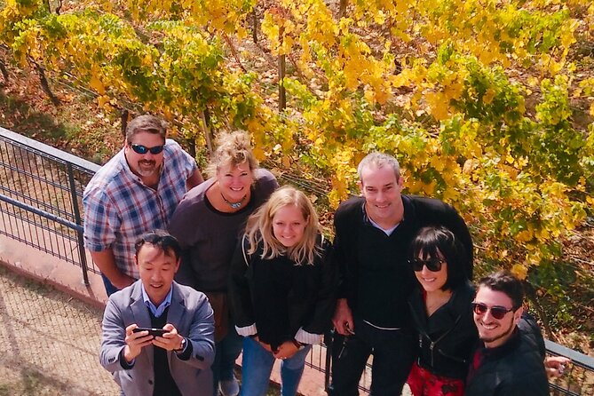 Small Group Rheingau Vineyards Tour with Castles and Abbeys - Who will enjoy this tour most?
