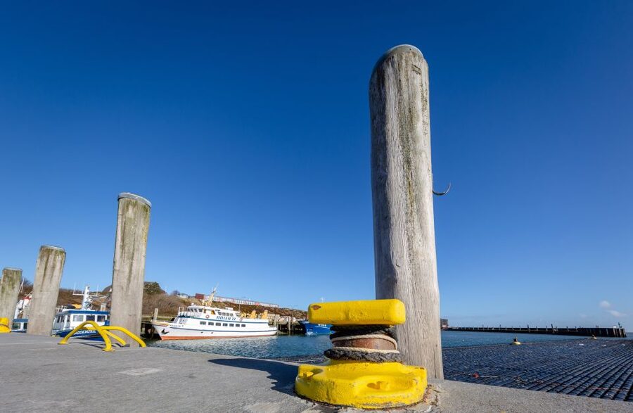 Sylt: Guided Island Tour by Bus with Sylt Highlights - List and the shifting dunes