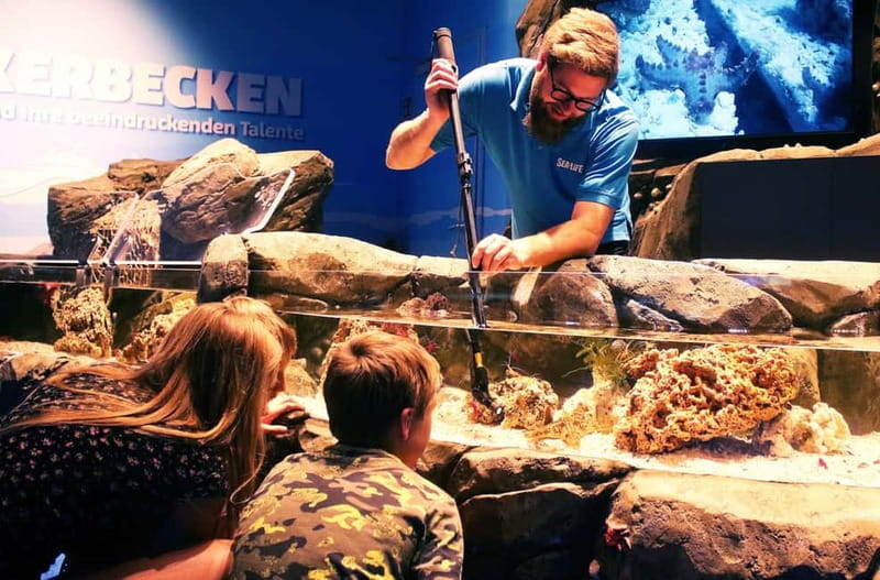 Ticket to SEA LIFE Konstanz - Antarctica and the ten gentoo penguins