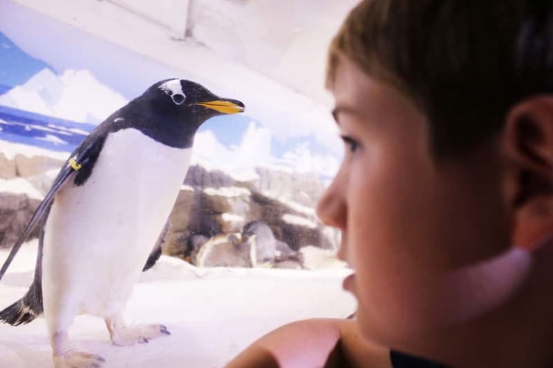 Ticket to SEA LIFE Konstanz - Paint2Life and the hands-on areas