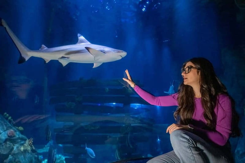 Ticket to SEA LIFE Konstanz - From Lake Constance to the North Sea