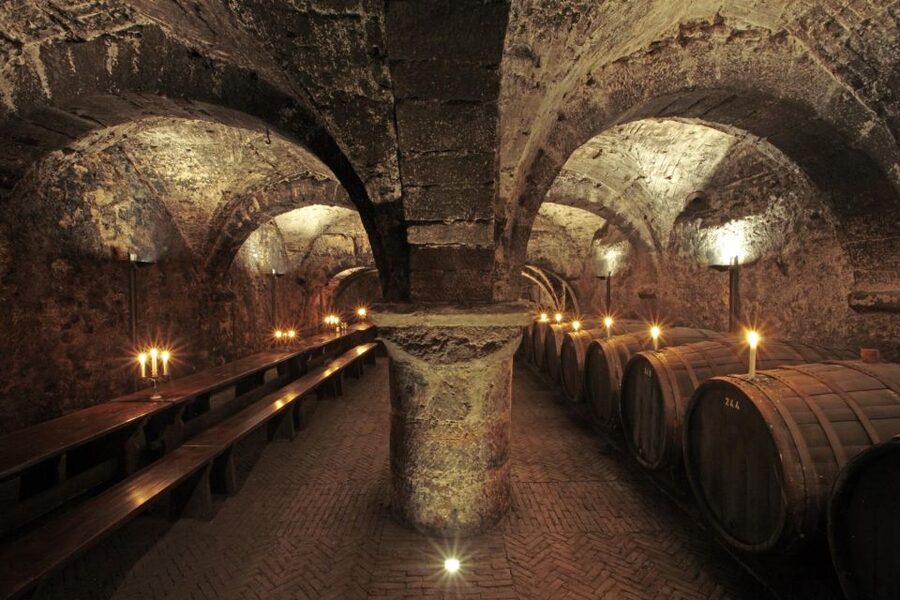 Trier: Discovery Tour – Germany's Oldest Wine Cellar - Key points to know before booking