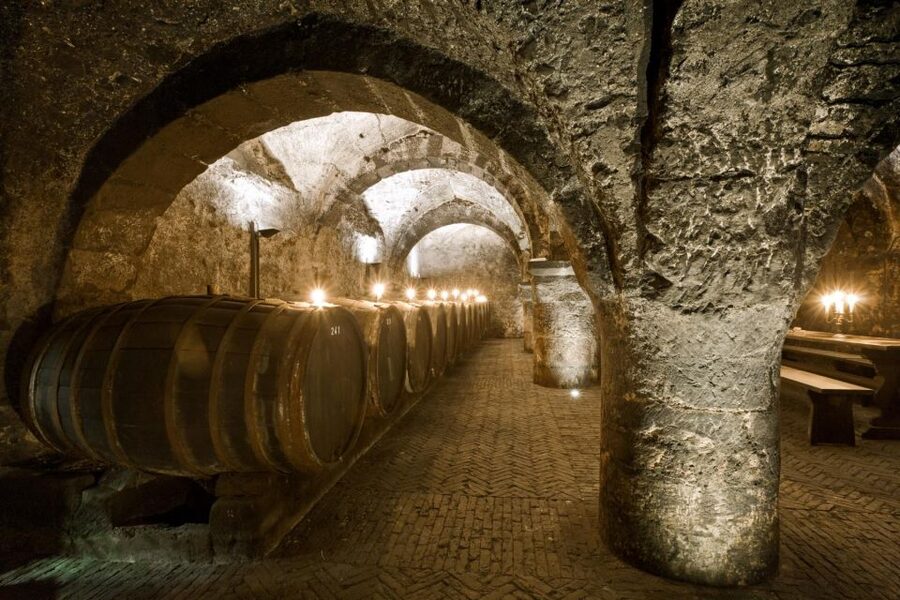 Trier: Discovery Tour – Germany's Oldest Wine Cellar - Booking flexibility and timing