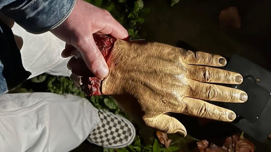 Ulm: Scary Walking Tour - Who should book this tour?